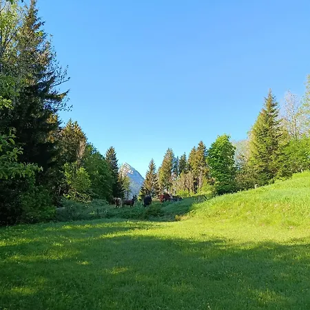 Les Deux Logis Prázdninový dům Saint-Pierre-de-Chartreuse